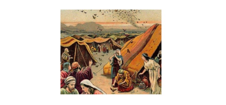 Read more about the article Die onmoontlike moontlik